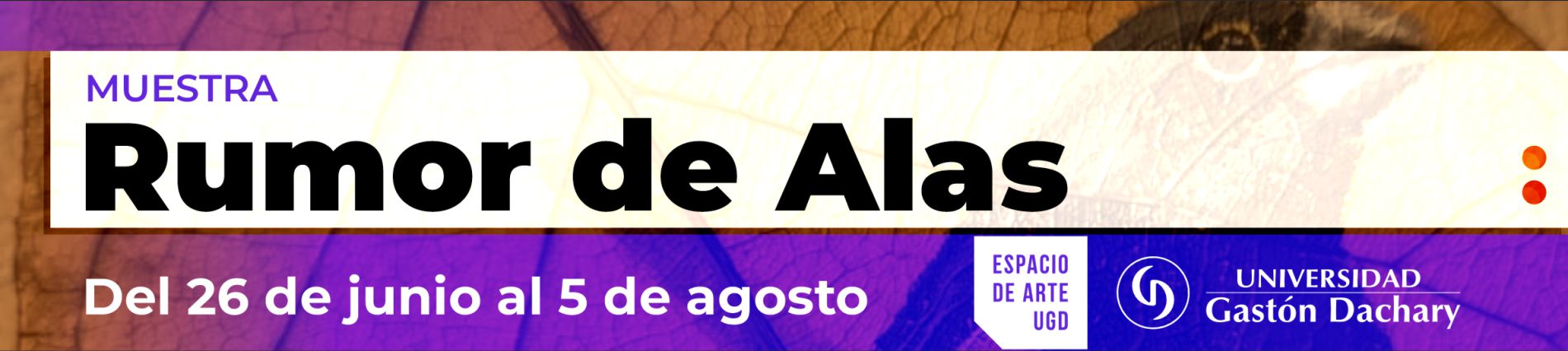 Rumor de alas