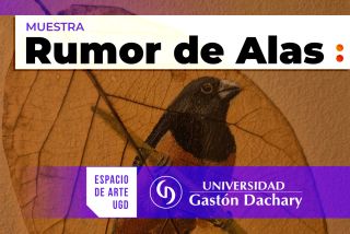 Aves misioneras: eje temático de la nueva muestra del Espacio de Arte de la UGD