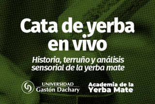 Cata sensorial en vivo: historia, terruño y análisis de la yerba mate